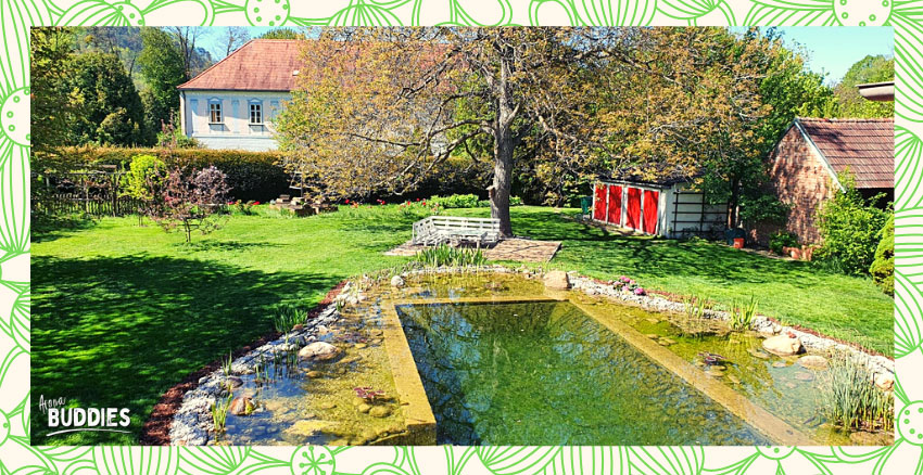 AromaBuddies-Gartenpflege