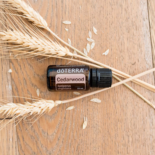 doterra cedarwood