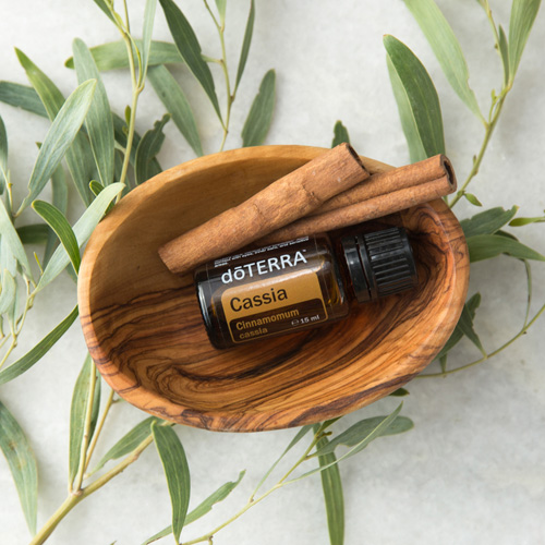 doterra cassia