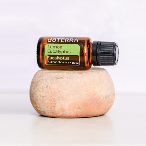 doterra lemon eucalyptus