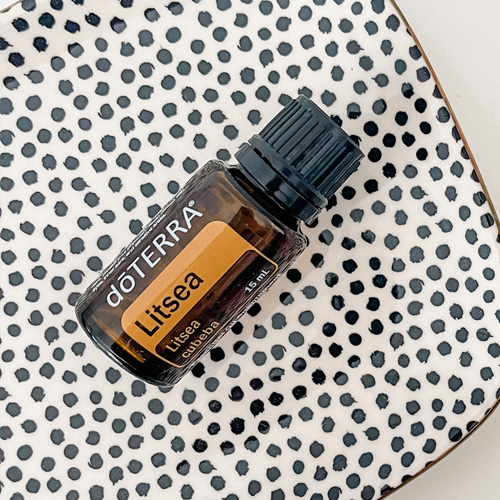 doterra litsea