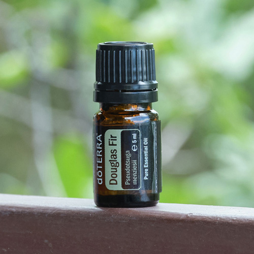 doterra douglas fir