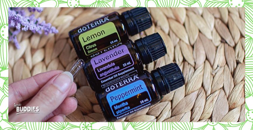 AromaBuddies Pollenzeit
