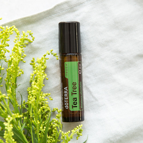 doterra tea tree touch