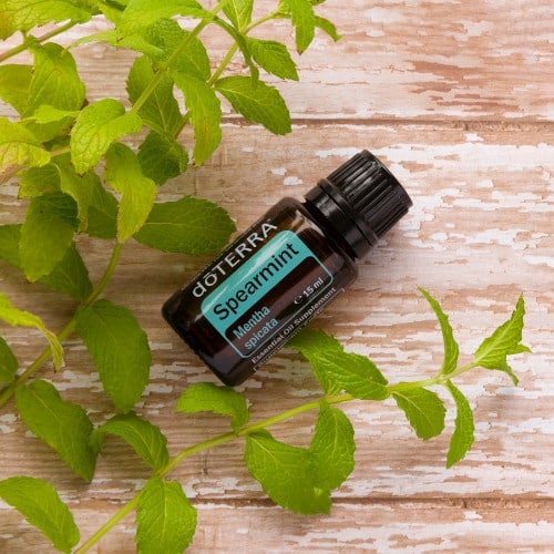 Spearmint